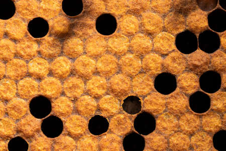 Close-up textured background of sealed honeycomb. Production of nectar in apiary, sweet honey. Beekeeping culture concept, yellow harvest.の写真素材
