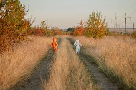 Cute children - boys running on nature between yellow fall grass. Babies in fluffy lion and bunny costume. Halloween, trick or treat. Family, friends, fun, brothers concept.の写真素材