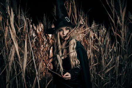 Blonde witch in black cape and hat posing in reeds field at night . Halloween, spooky wizard...