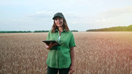 Woman agronomist works in ripe wheat field with digital tablet, checking integrity of ears, growth. Agricultural business, technology, smart eco system, harvest concept.の写真素材