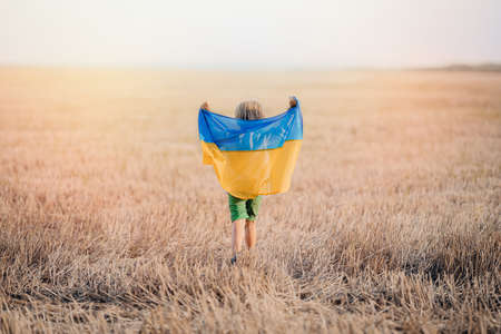 Happy little boy - Ukrainian patriot child with national flag in field after collection wheat, open area. Ukraine, peace, independence, freedom, win in war.の写真素材