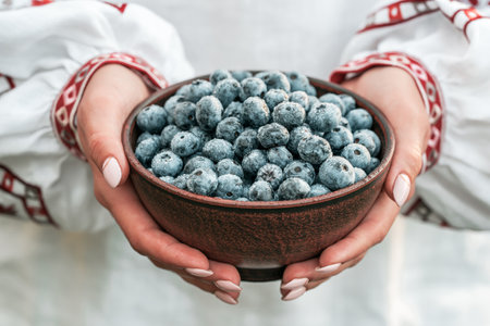 Ukrainian woman in embroidery vyshyvanka shirt holding blueberries on garden background. Rich blackberry harvest. Fresh ripe organic berries - great bilberry plant.の写真素材