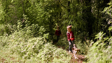 Happy little boy walking his puppy beagle in green park. Dog on leash runs forward and pulls child. Happy time, childhood, lovely pet, new member of family.の写真素材