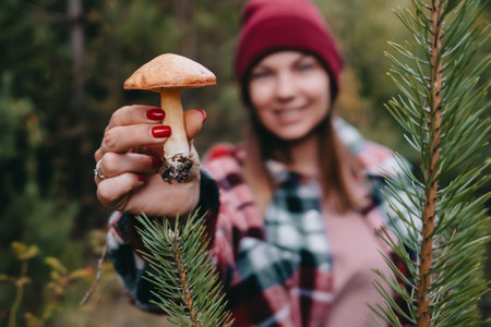 Woman holding slippery Jack Fungi, Suillus luteus on autumn forest background with pine needles, close-up view. Harvest mushroom conceptの写真素材