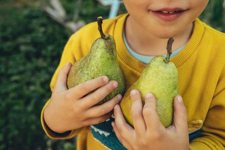 Cute little boy holds ripe pears. Kid in garden explores plants, nature in autumn. Amazing scene. Harvest, childhood conceptの写真素材