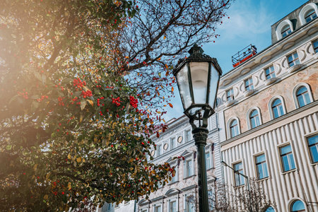 Beautiful old european city lantern with mountain ash tree. Cityscape.の写真素材