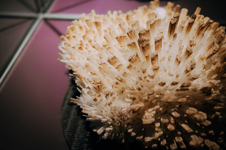 Crystals and rocks - Modern exhibition for children and adults.Education conceptの写真素材