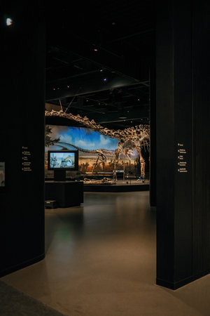 October 2023 - Prague, Czechia. Diplodocus skeleton model in Dinosaur Museumのeditorial素材