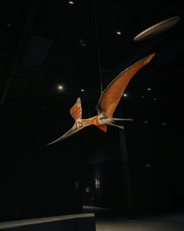 October 2023 - Prague, Czechia. Pterodactyl, pteranodon model in Dinosaur Museumのeditorial素材