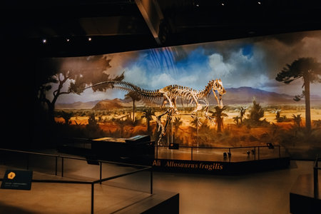 October 2023 - Prague, Czechia. Allosaurus skeleton model in Dinosaur Museumのeditorial素材