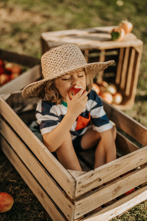 Funny little boy eating juicy apple,sitting in wooden box orchard.Organic fruitsの写真素材