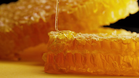 Raw honeycombs with pouring pure golden honey elixir. Amazing tasty flow. Macro.