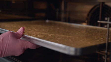 Pastry chef puts almond flour dough oven, bake. Making cake,gluten-free pastriesの写真素材