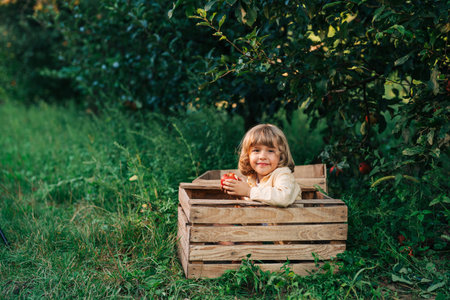 Funny little boy eating juicy apple,sitting in wooden box orchard.Organic fruitsの写真素材