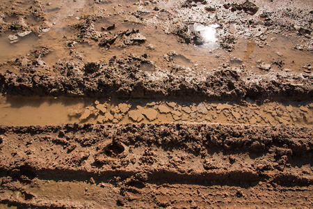 wheel track on mud with sun reflection in the water.
