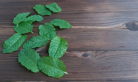 Mint on woodの写真素材