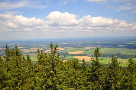 natureの写真素材