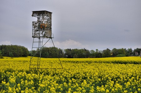 old hunting hide on meadowの写真素材