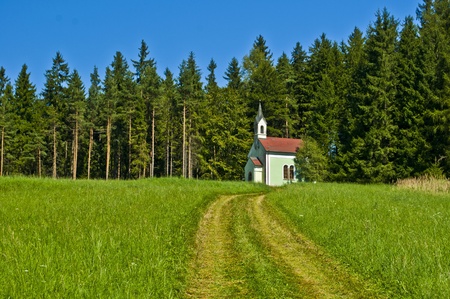 little white church near forestの写真素材