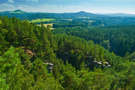 nice landscape on summery timeの写真素材