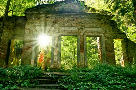 old romantic ruin in forestの写真素材
