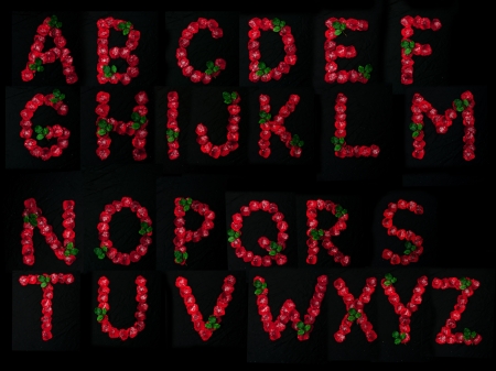 romantic letters from flowers rosesの写真素材