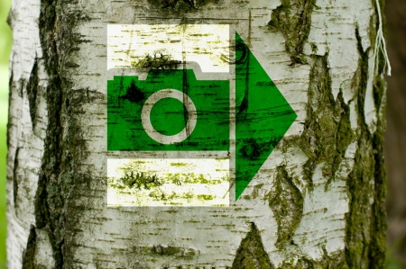 signposting for photographers - way is givenの写真素材