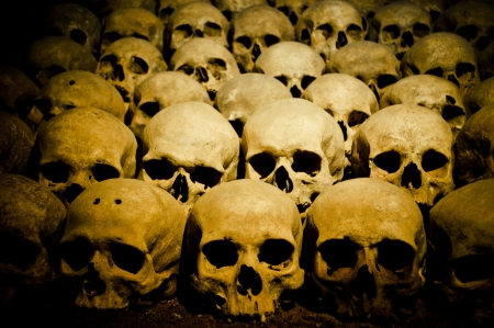 a lot of human bonesの写真素材