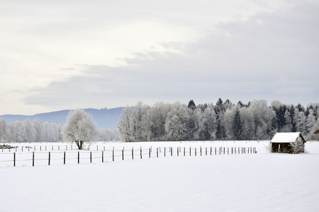 Winter landscape in Bavaria, Germany. の写真素材