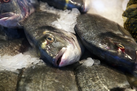 Fresh Fish on ice on display at the market