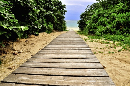 Wooden path to the beautiful beach