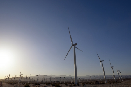Rows of wind turbines in Palm Springs, California.
