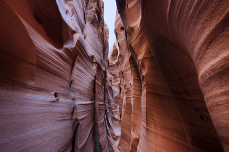 Zebra slot canyon a remote sandstone slot canyon in Utah USA.の写真素材