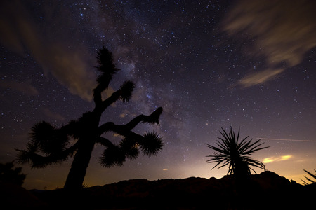 Milky Way at night in Joshua Tree National Park.の写真素材