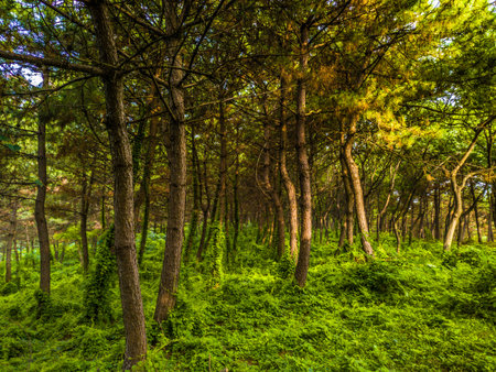 Our natureの写真素材