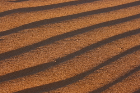 Texture of sand dune close upの写真素材