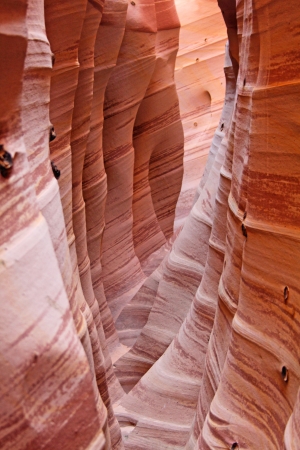 Zebra Canyon, Utahの写真素材