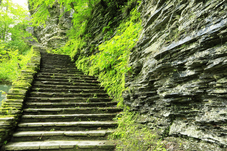 Stony stairs in Watkins Glen gorge- New York