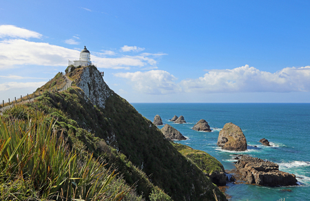 Nugget Point lighthouse on the cliff, New Zealandの写真素材
