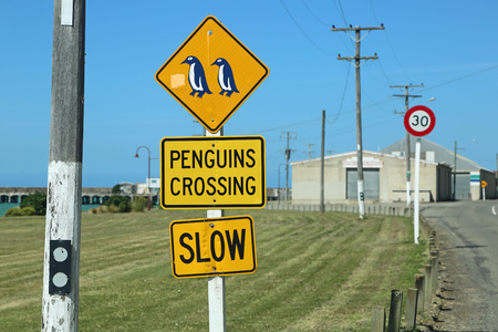 Penguin sign, New Zealandの写真素材