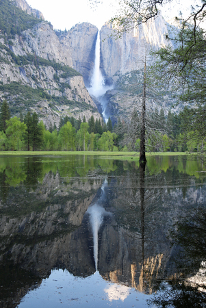 Yosemite Fall vertical, Californiaの写真素材