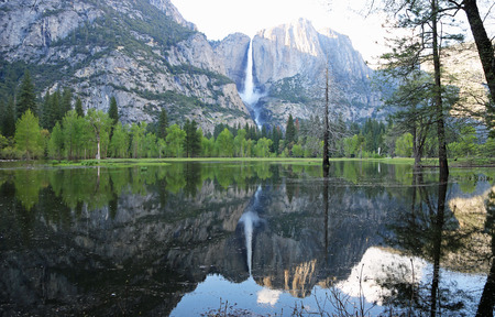 Yosemite Falls reflection, Californiaの写真素材