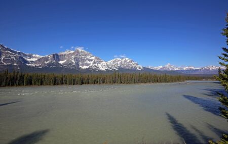Athabasca River, Jasper NP, Canadaの写真素材