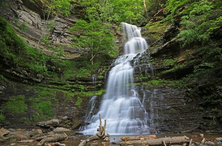 View at Cathedral Falls, West Virginia