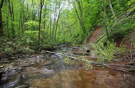 Hills Creek, West Virginiaの写真素材