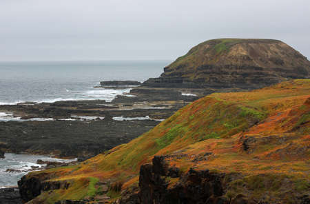 Colorful cliff of The Nobbies - Phillip Island, Victoria, Australia