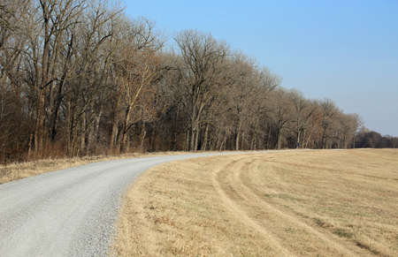 Dirt road in the country - Reelfoot Lake State Park, Tennessee