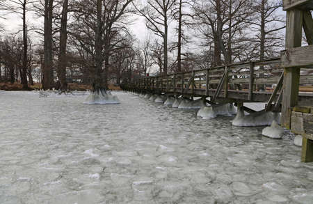 Reelfoot Lake pier, Tennesseeの写真素材