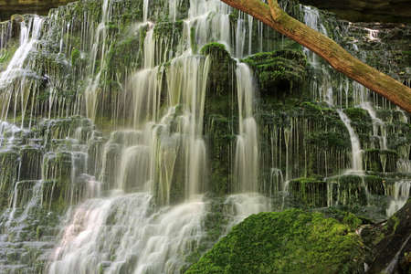 Busby cascades and the stem - Tennessee