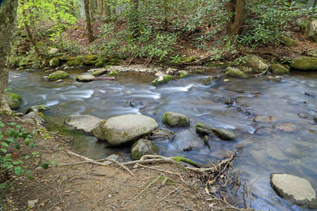 Flowing creek in the forest - Great Smoky Mountains National Park, Tennesseeの写真素材